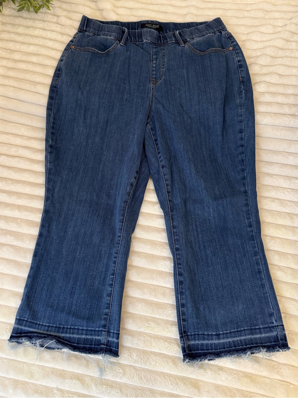 Judy Blue Cropped Jeans Size 16W